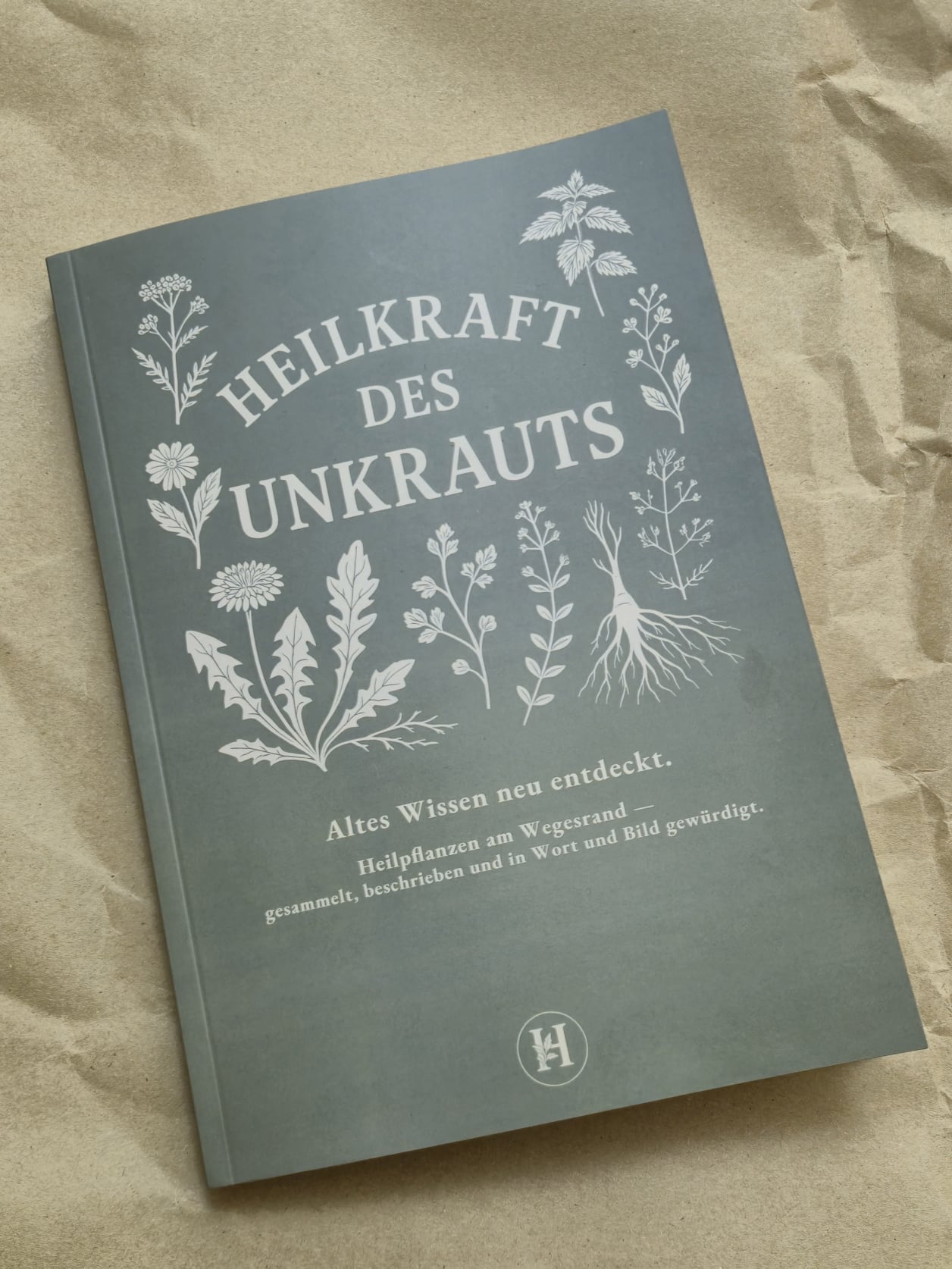 Heilkraft des Unkrauts Marcel Plagmann